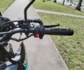 Геон Інша, об'ємом двигуна 0.25 л та пробігом 0 тис. км за 1609 $, фото 6 на Automoto.ua
