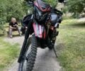 Геон Інша, об'ємом двигуна 0.25 л та пробігом 0 тис. км за 1600 $, фото 1 на Automoto.ua