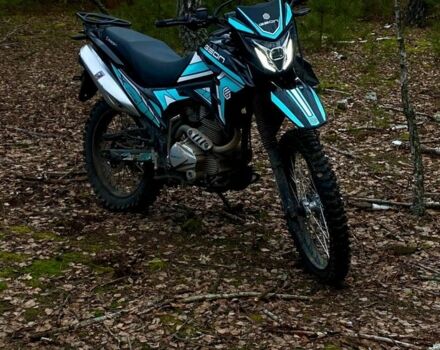 Геон Інша, об'ємом двигуна 0.25 л та пробігом 0 тис. км за 1100 $, фото 2 на Automoto.ua