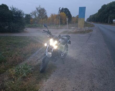 Геон Інша, об'ємом двигуна 0.25 л та пробігом 0 тис. км за 1381 $, фото 18 на Automoto.ua