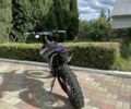 Геон Інша, об'ємом двигуна 0.3 л та пробігом 0 тис. км за 2600 $, фото 5 на Automoto.ua