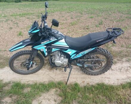 Геон Другая, объемом двигателя 0.25 л и пробегом 0 тыс. км за 1350 $, фото 7 на Automoto.ua