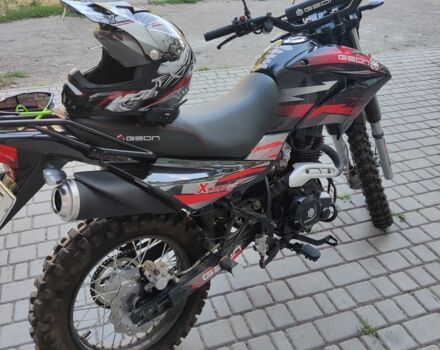 Геон Інша, об'ємом двигуна 0.25 л та пробігом 0 тис. км за 1526 $, фото 7 на Automoto.ua
