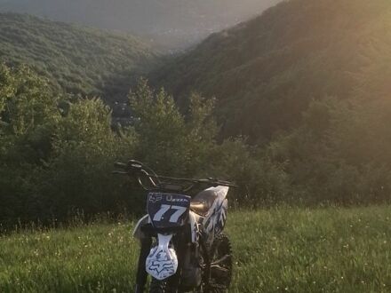 Геон Інша, об'ємом двигуна 0.25 л та пробігом 0 тис. км за 800 $, фото 1 на Automoto.ua