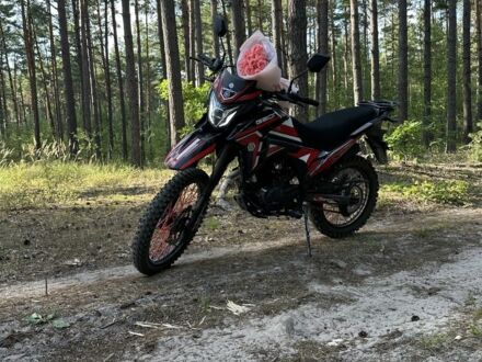 Геон Інша, об'ємом двигуна 0.25 л та пробігом 0 тис. км за 1600 $, фото 1 на Automoto.ua