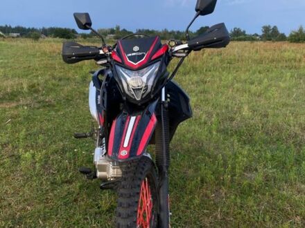 Геон Інша, об'ємом двигуна 0.25 л та пробігом 0 тис. км за 1450 $, фото 1 на Automoto.ua