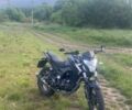 Геон Інша, об'ємом двигуна 0.25 л та пробігом 0 тис. км за 1323 $, фото 1 на Automoto.ua