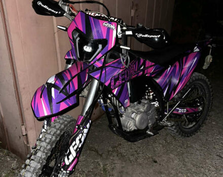 Фиолетовый Геон GNS 300 NB Enduro, объемом двигателя 0.3 л и пробегом 2 тыс. км за 3000 $, фото 4 на Automoto.ua