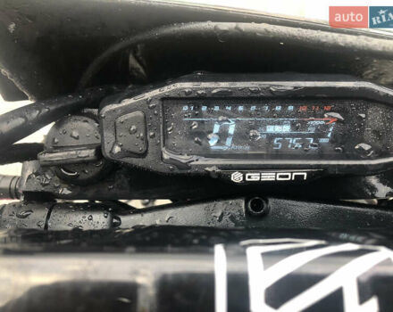Геон GNS 300 NB Enduro, объемом двигателя 0 л и пробегом 5 тыс. км за 2250 $, фото 6 на Automoto.ua