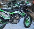 Геон GNS 300 NB Enduro, объемом двигателя 0 л и пробегом 26 тыс. км за 1950 $, фото 7 на Automoto.ua