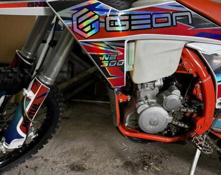 Белый Геон GNX 300 NB Enduro, объемом двигателя 0.3 л и пробегом 17 тыс. км за 2500 $, фото 4 на Automoto.ua