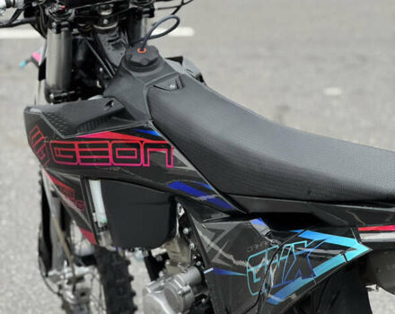 Геон GNX 300 NB Enduro, объемом двигателя 0.3 л и пробегом 6 тыс. км за 2800 $, фото 9 на Automoto.ua