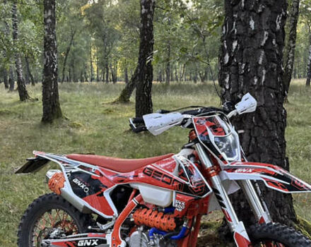 Геон GNX 300 NB Enduro, объемом двигателя 0.3 л и пробегом 2 тыс. км за 2900 $, фото 8 на Automoto.ua