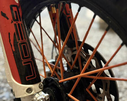 Геон GNX 300 NB Enduro, объемом двигателя 0.3 л и пробегом 2 тыс. км за 2900 $, фото 5 на Automoto.ua
