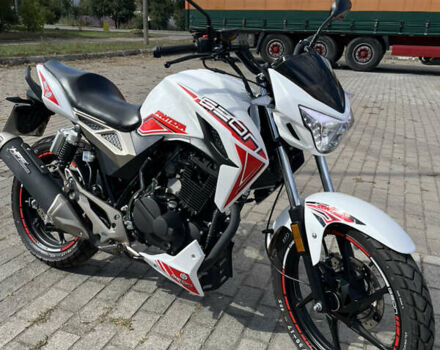 Белый Геон Pantera 250, объемом двигателя 0.25 л и пробегом 650 тыс. км за 1400 $, фото 4 на Automoto.ua