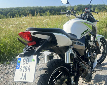 Білий Геон Pantera 250, об'ємом двигуна 0.25 л та пробігом 6 тис. км за 1450 $, фото 1 на Automoto.ua