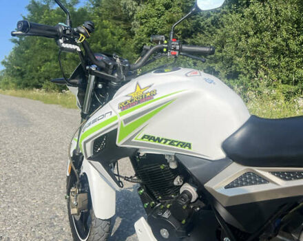 Білий Геон Pantera 250, об'ємом двигуна 0.25 л та пробігом 6 тис. км за 1450 $, фото 2 на Automoto.ua