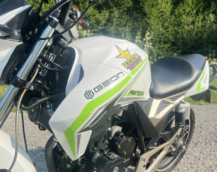 Білий Геон Pantera 250, об'ємом двигуна 0.25 л та пробігом 6 тис. км за 1450 $, фото 4 на Automoto.ua