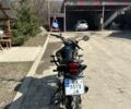 Черный Геон Pantera 250, объемом двигателя 0 л и пробегом 13 тыс. км за 1200 $, фото 1 на Automoto.ua