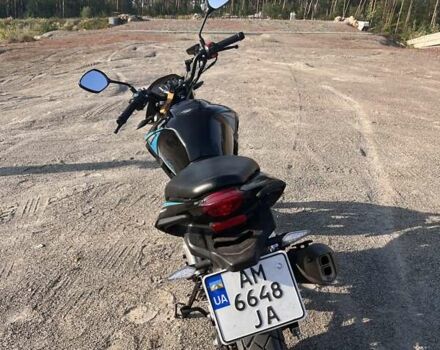 Чорний Геон Pantera 250, об'ємом двигуна 0.22 л та пробігом 4 тис. км за 1378 $, фото 3 на Automoto.ua