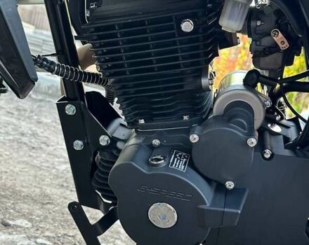 Чорний Геон Pantera 250, об'ємом двигуна 0 л та пробігом 6 тис. км за 1335 $, фото 2 на Automoto.ua