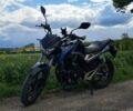 Черный Геон Pantera 250, объемом двигателя 0.25 л и пробегом 2 тыс. км за 1363 $, фото 9 на Automoto.ua