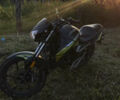 Геон Pantera 250, объемом двигателя 0 л и пробегом 17 тыс. км за 870 $, фото 1 на Automoto.ua