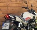 Геон Pantera 250, об'ємом двигуна 0.25 л та пробігом 0 тис. км за 1400 $, фото 2 на Automoto.ua