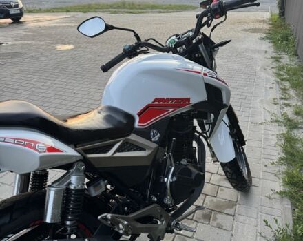 Геон Pantera 250, объемом двигателя 0.22 л и пробегом 0 тыс. км за 1150 $, фото 4 на Automoto.ua