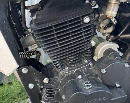 Геон Pantera 250, объемом двигателя 0.22 л и пробегом 0 тыс. км за 1150 $, фото 6 на Automoto.ua