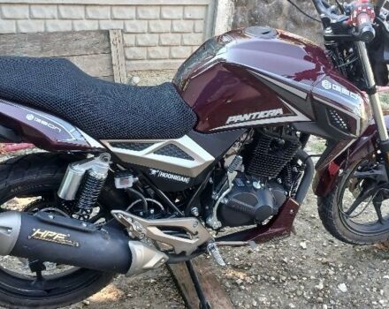 Геон Pantera 250, объемом двигателя 0.25 л и пробегом 0 тыс. км за 1550 $, фото 5 на Automoto.ua