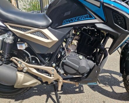 Геон Pantera 250, объемом двигателя 0.25 л и пробегом 0 тыс. км за 1214 $, фото 4 на Automoto.ua