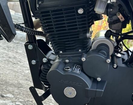 Геон Pantera 250, об'ємом двигуна 0.25 л та пробігом 0 тис. км за 1336 $, фото 5 на Automoto.ua