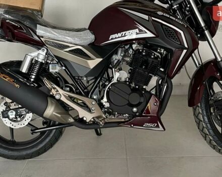 купити нове авто Геон Pantera 250 2025 року від офіційного дилера MotoHub Геон фото