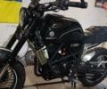 Черный Геон Scrambler, объемом двигателя 0.3 л и пробегом 6 тыс. км за 2060 $, фото 4 на Automoto.ua