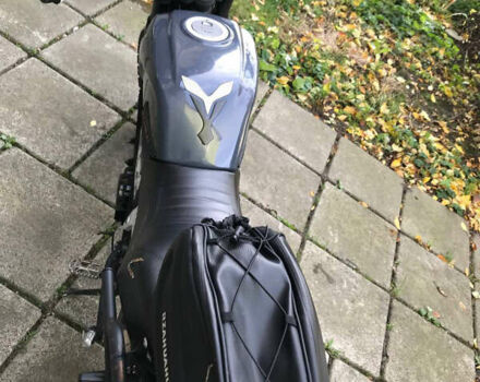 Геон Scrambler 250 2019 в Львове на Automoto.ua Серый Геон Scrambler 250, объемом двигателя 0.25 л и пробегом 7 тыс. км за 1200 $, фото 4 на Automoto.ua