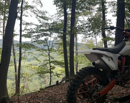 Білий Геон Terra-X 250, об'ємом двигуна 0.25 л та пробігом 5 тис. км за 1200 $, фото 2 на Automoto.ua