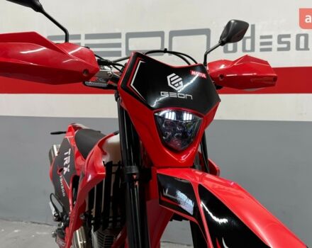 купить новое авто Геон TRX 300 YGH 2025 года от официального дилера Сергей Геон фото