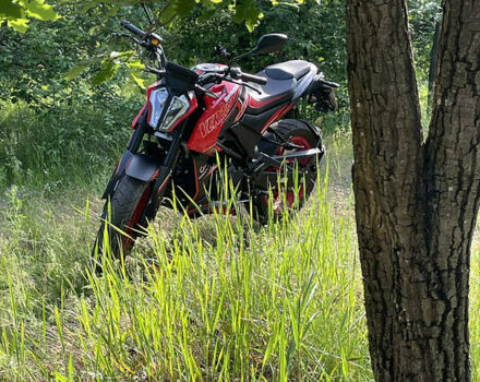 Червоний Геон Vertex 300, об'ємом двигуна 0.3 л та пробігом 3 тис. км за 1750 $, фото 1 на Automoto.ua