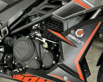 Геон Vertex 300, объемом двигателя 0.28 л и пробегом 0 тыс. км за 1990 $, фото 15 на Automoto.ua