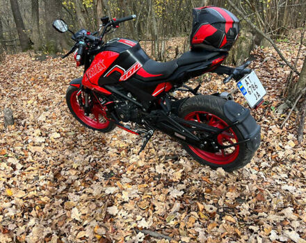 Геон Vertex 300, об'ємом двигуна 0 л та пробігом 3 тис. км за 1400 $, фото 3 на Automoto.ua