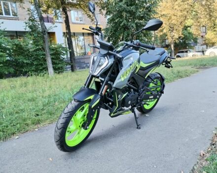 Геон Vertex 300, объемом двигателя 0.3 л и пробегом 0 тыс. км за 1989 $, фото 9 на Automoto.ua