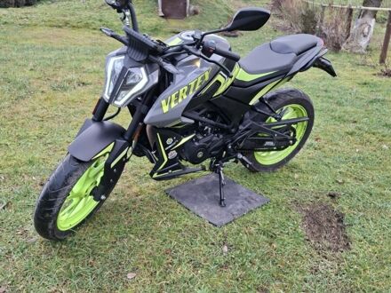 Геон Vertex 300, объемом двигателя 0.3 л и пробегом 0 тыс. км за 1705 $, фото 1 на Automoto.ua