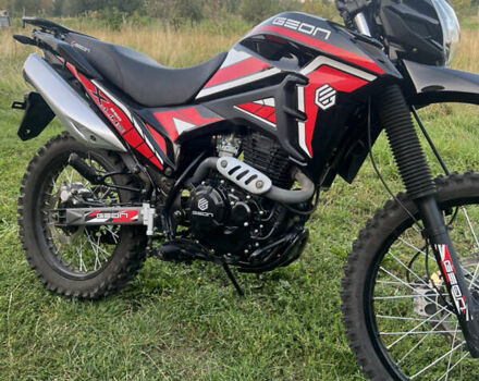 Червоний Геон X-Line, об'ємом двигуна 0.25 л та пробігом 2 тис. км за 1550 $, фото 8 на Automoto.ua