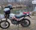 Чорний Геон X-Road 250CBB, об'ємом двигуна 0.25 л та пробігом 22 тис. км за 1200 $, фото 30 на Automoto.ua