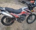 Геон X-Road 250CBB, объемом двигателя 0 л и пробегом 6 тыс. км за 1000 $, фото 2 на Automoto.ua