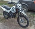 Геон X-Road 250СВ, объемом двигателя 0.25 л и пробегом 5 тыс. км за 1350 $, фото 2 на Automoto.ua