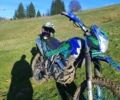 Синій Геон X-Road 250СВ, об'ємом двигуна 0.25 л та пробігом 5 тис. км за 1116 $, фото 6 на Automoto.ua