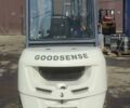 Белый Goodsense FB, объемом двигателя 0 л и пробегом 0 тыс. км за 33650 $, фото 9 на Automoto.ua