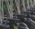 Грейт Плейнс ЦПХ, объемом двигателя 0 л и пробегом 0 тыс. км за 32000 $, фото 11 на Automoto.ua